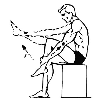 Упражнения для мышц ног